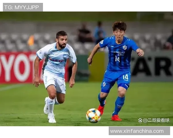 南京排球队节奏表现数据分析揭示战术优势与提升空间