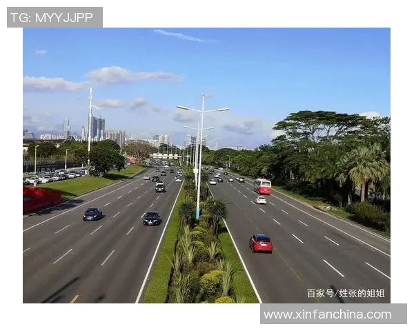 对话杨静：探索她的羽毛球生涯与奋斗历程的精彩故事