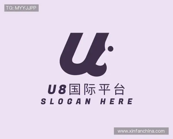 解读U8省心